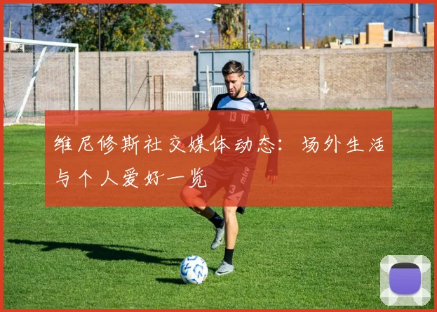 维尼修斯社交媒体动态:场外生活与个人爱好一览