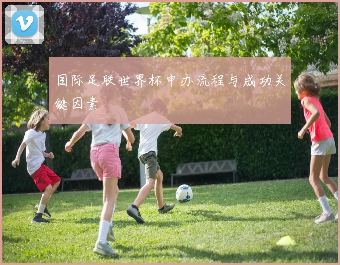国际足联世界杯申办流程与成功关键因素
